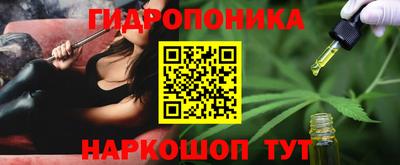 apvp Ковров